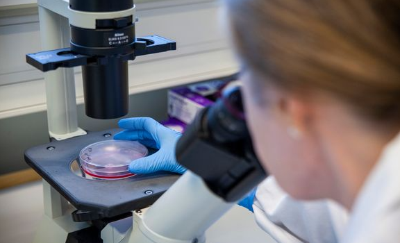 NHS Introduces New Therapy for High-Risk Stem Cell Transplant Patients