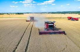 Farming Leaders Urge for Stronger Measures to Secure UK’s Food Future