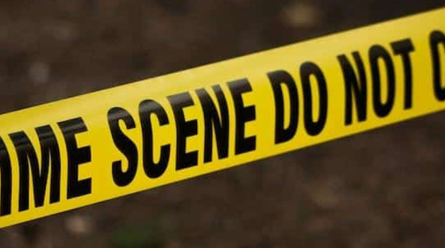 Man Held After Woman Fatally Stabbed in Dartford Home