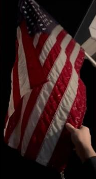 Michigan Ice Storm Encases US Flag in Solid Ice