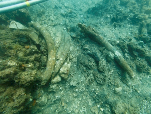 Shipwreck off Kenya Could Reveal Secrets of Vasco da Gama’s Final Expedition