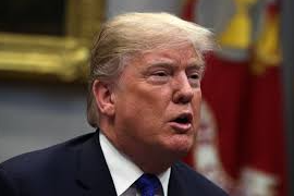 Trump Shielded from Conviction by 2024 Election Win, Says Counsel