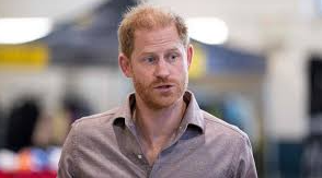 US Court Releases Heavily Redacted Prince Harry Visa Documents Amid Privacy Concerns